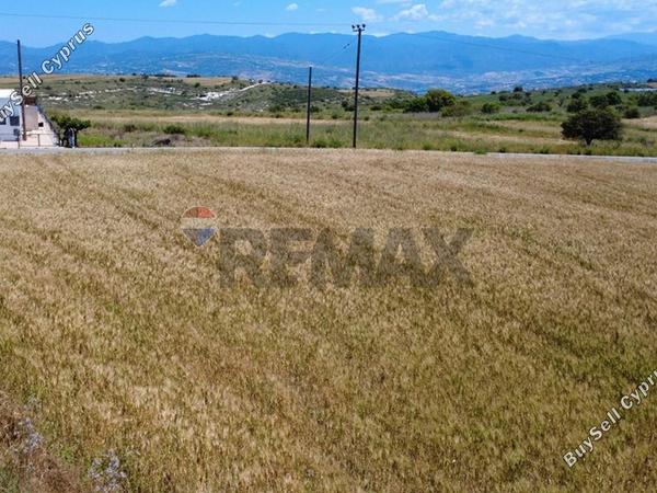 land for sale pano arodes paphos 8086048 image 16274959