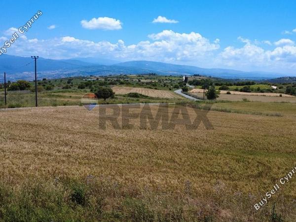 land for sale pano arodes paphos 8086048 image 16274961