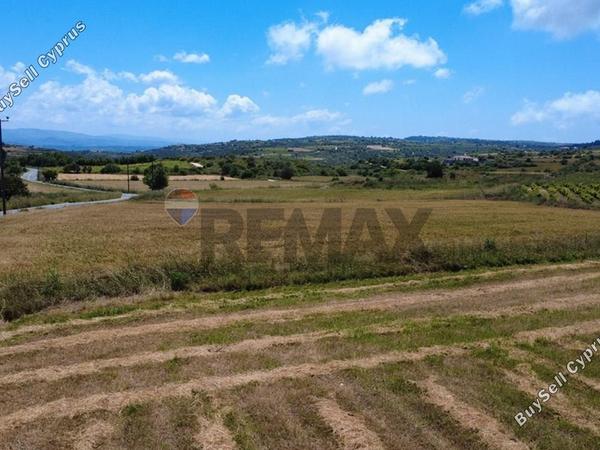 land for sale pano arodes paphos 8086048 image 16274964