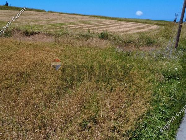 land for sale pano arodes paphos 8086048 image 16274965