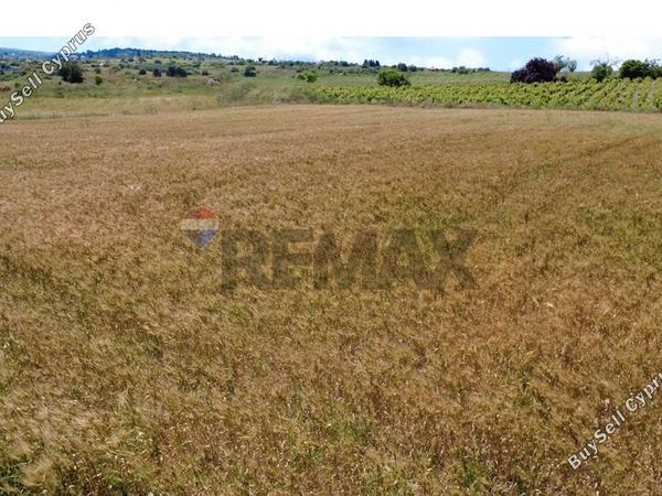 land for sale pano arodes paphos 8086048 image 16274967