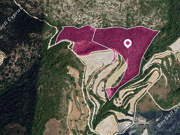 land for sale theletra paphos 8396048 image 15717449
