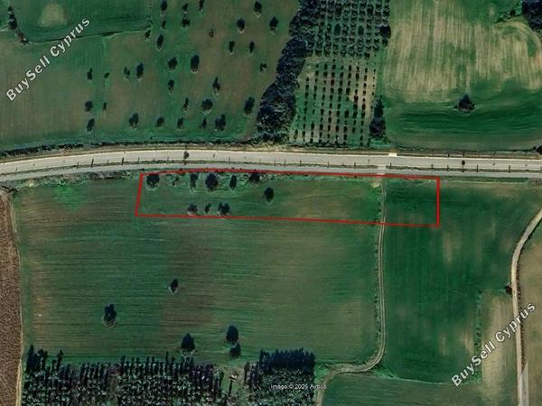 plot for sale mazotos larnaca 1681048 image 10097554