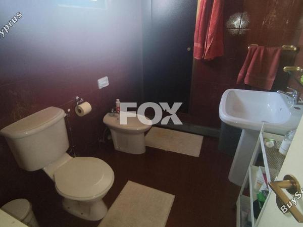 studio commercial building for rent katholiki limassol 1754048 image 5699061
