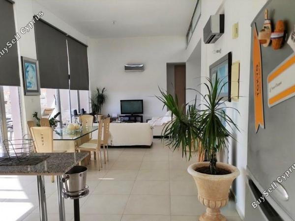 3 bedroom detached house for sale peyia paphos 1355148 image 5622683