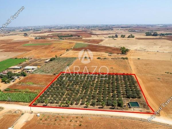 land for sale avgorou famagusta 1752148 image 15881232