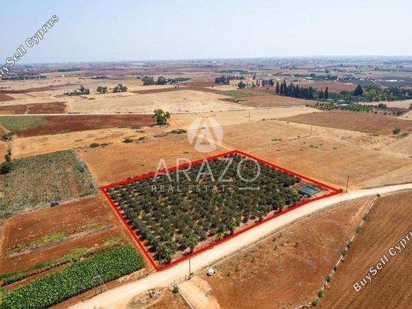 land for sale avgorou famagusta 1752148 image 15881234