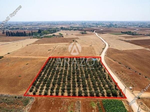 land for sale avgorou famagusta 1752148 image 15881236