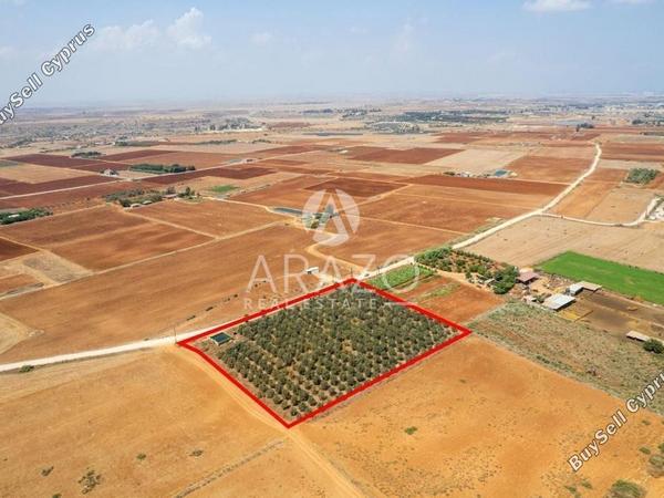 land for sale avgorou famagusta 1752148 image 15881237