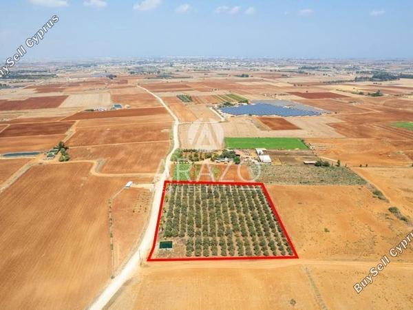land for sale avgorou famagusta 1752148 image 15881238