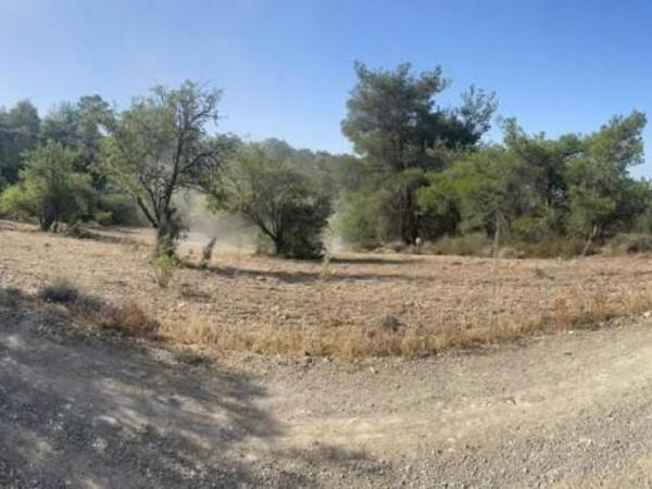land for sale doros limassol 1936148 image 9238773