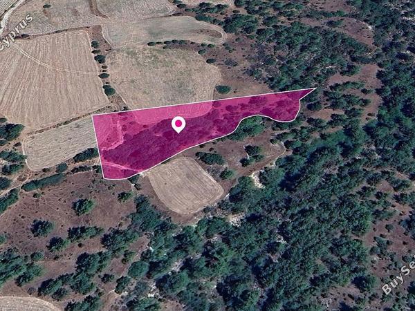 land for sale mousere paphos 1213148 image 14889166