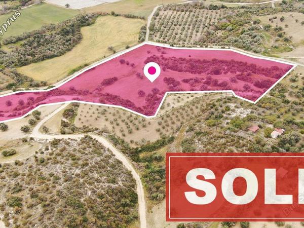 land sold agios theodoros larnacas larnaca 1070148 image 1953588