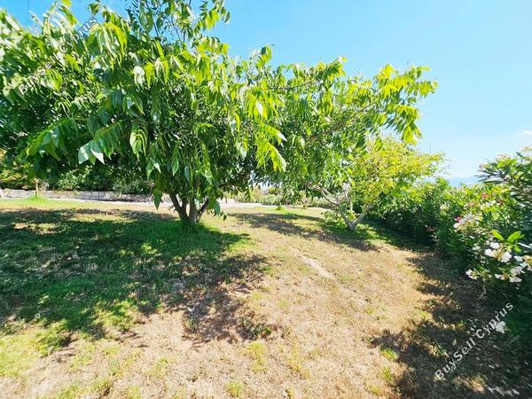 4 bedroom bungalow for sale kathikas paphos 8866248 image 17186817