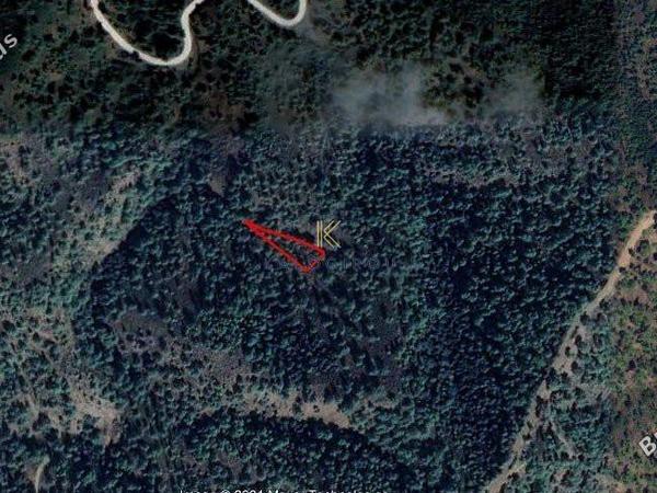 plot for sale kampos nicosia 1195248 image 5576709