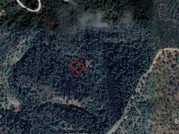 plot for sale kampos nicosia 1195248 image 5576710