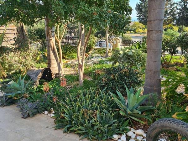 5 bedroom detached house for sale agios athanasios limassol 980348 image 6259192