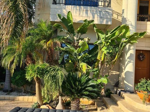 5 bedroom detached house for sale agios athanasios limassol 980348 image 6259194