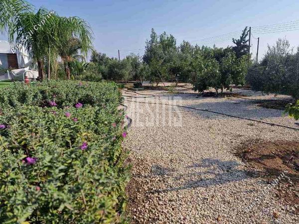 5 bedroom detached house for sale pano deftera nicosia 1643348 image 14381636