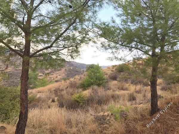land for sale pano pyrgos nicosia 8073448 image 13054414