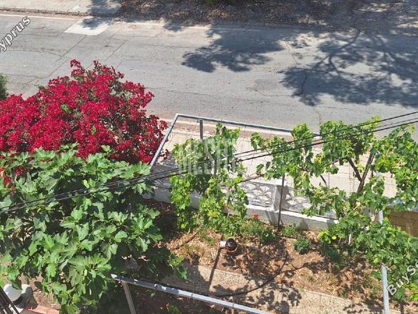 4 bedroom semi detached house for rent larnaca municipality larnaca 8203548 image 13684510
