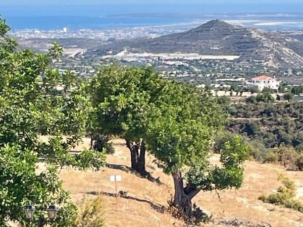 5 bedroom detached house for sale apesia limassol 7810548 image 10622987