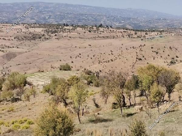 land for sale faleia paphos 1077548 image 15598675