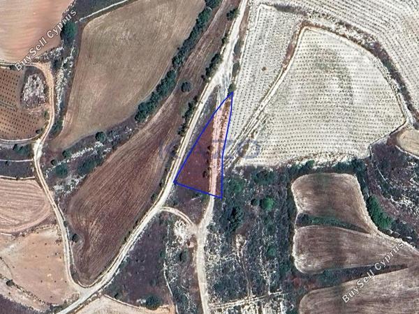 land for sale pachna limassol 8156548 image 13482522