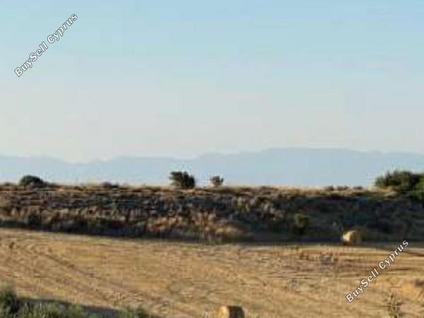 land for sale pera orinis nicosia 944548 image 15603401