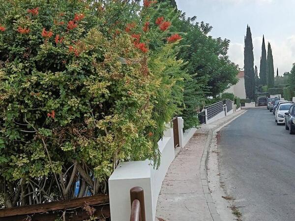 3 bedroom detached house for sale peyia paphos 1491648 image 3600345