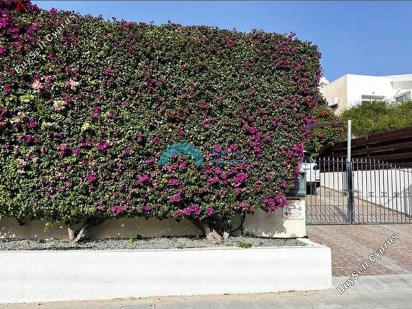 4 bedroom detached house for rent peyia paphos 8574648 image 16054553