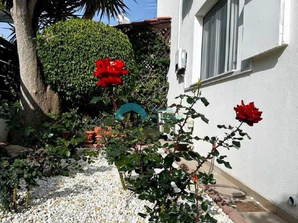 4 bedroom detached house for rent peyia paphos 8574648 image 16054556