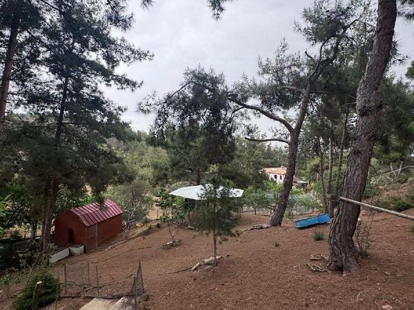 4 bedroom detached house for sale kapedes nicosia 7464648 image 10730858