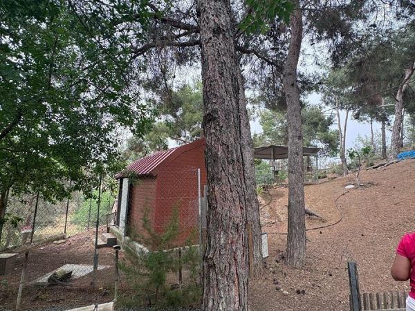 4 bedroom detached house for sale kapedes nicosia 7464648 image 10730868