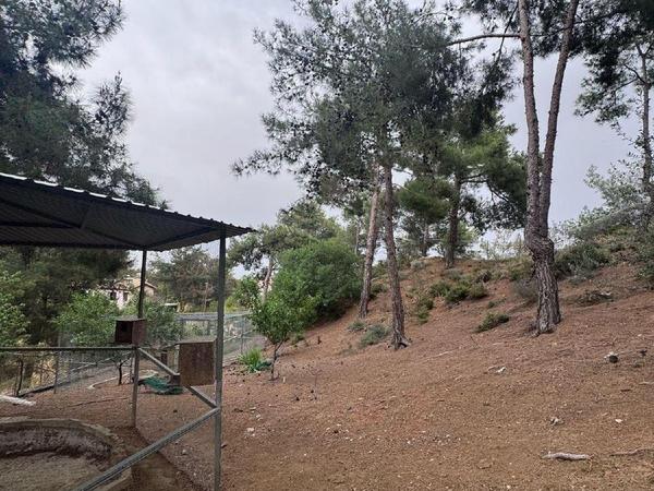 4 bedroom detached house for sale kapedes nicosia 7464648 image 10730871