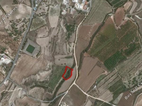 land for sale prodromi paphos 8630648 image 15873900