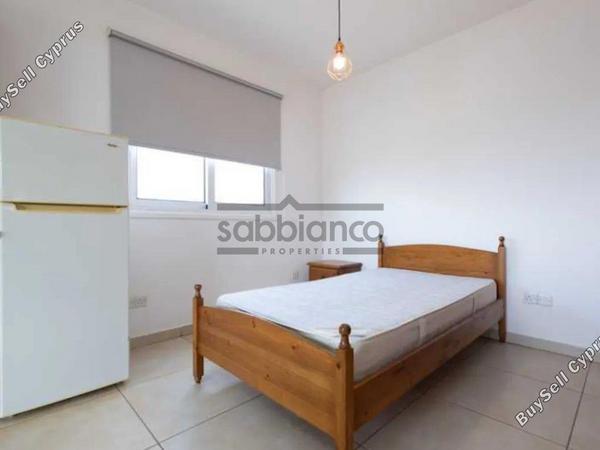 studio apartment for rent platy aglantzias nicosia 8776648 image 16615269