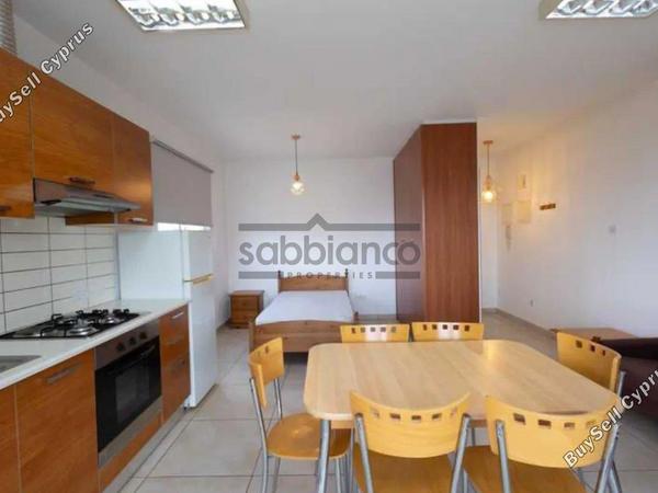studio apartment for rent platy aglantzias nicosia 8776648 image 16615270