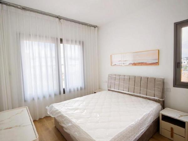 1 bedroom apartment for rent linopetra limassol 8791748 image 16683272