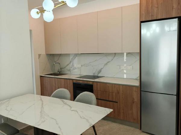 1 bedroom apartment for rent linopetra limassol 8791748 image 16683276