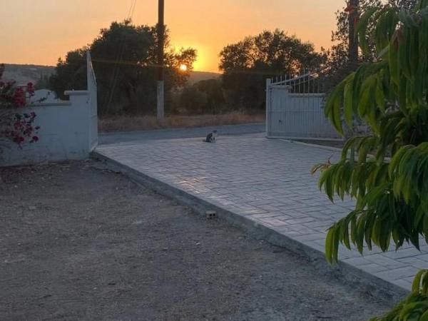 3 bedroom detached house for sale moni limassol 1690748 image 6567605