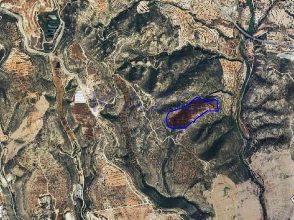 land for sale palodeia limassol 7643748 image 9886165