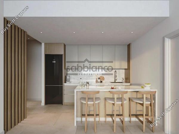 2 bedroom apartment for sale geroskipou paphos 8749848 image 16479403