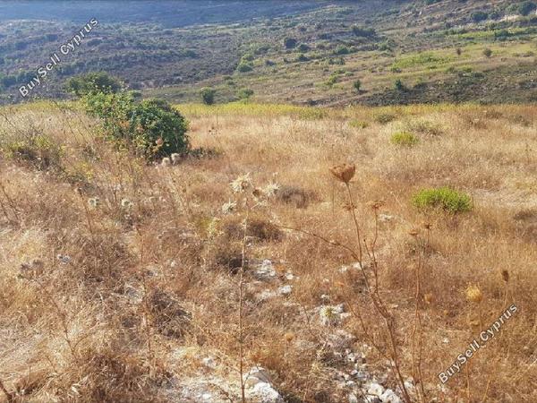 land for sale pachna limassol 945848 image 15602145