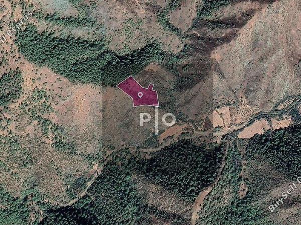land for sale pigenia nicosia 8274848 image 15155565