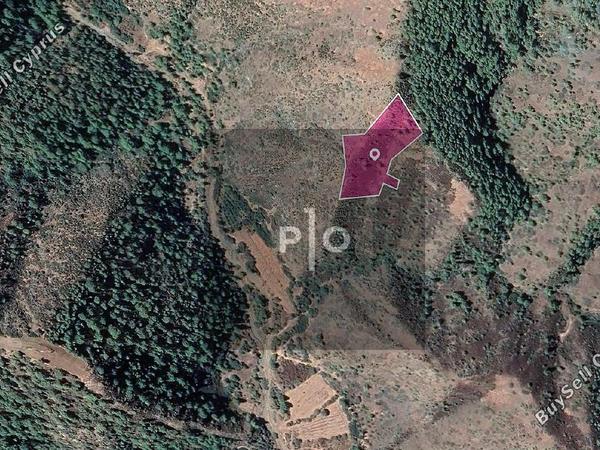 land for sale pigenia nicosia 8274848 image 15155572