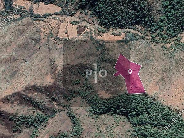 land for sale pigenia nicosia 8274848 image 15155576