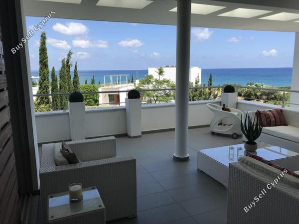 4 bedroom detached house for sale latsi paphos 8529948 image 15458720
