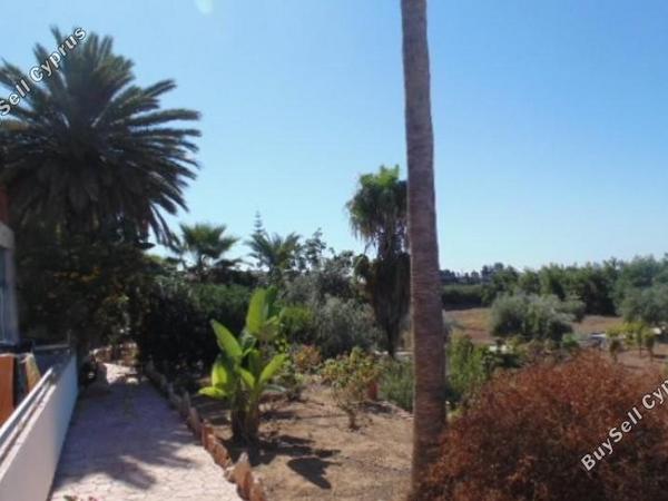 5 bedroom detached house for sale saint george peyia paphos 7738948 image 12566913