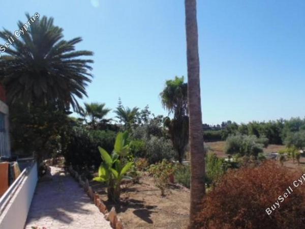 5 bedroom detached house for sale saint george peyia paphos 7738948 image 12566914